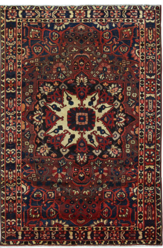 Persian Bakhtiari 7x10 Red Brown Wool Area Rug
