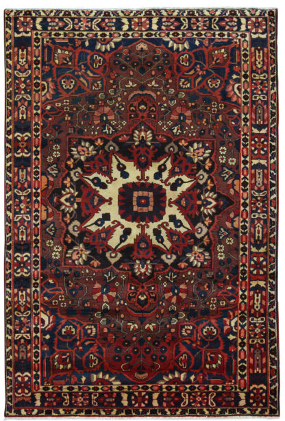 Persian Bakhtiari 7x10 Red Brown Wool Area Rug